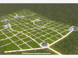 Terreno en venta en Chicxulub, Chicxulub Pueblo, Yucatán Terreno en venta en Chicxulub, Chicxulub Pueblo, Yucatán