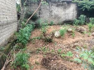 Terreno en venta en Las Lomas, Martínez de la Torre, Veracruz de Ignacio de la Llave