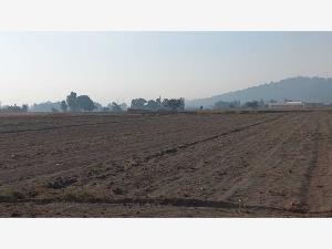 Terreno en venta en Santa Maria Zacatepec, Juan C. Bonilla, Puebla