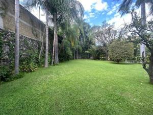 Terreno en venta en Acapatzingo, Cuernavaca, Morelos Terreno en venta en Acapatzingo, Cuernavaca, Morelos