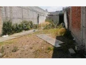 Terreno en venta en El Rosario, Rafael Lucio, Veracruz de Ignacio de la Llave