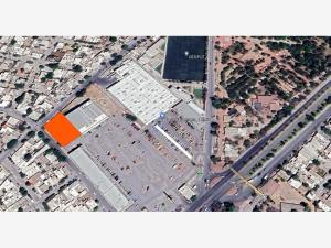 Terreno en renta en Constituyentes, Lerdo, Durango