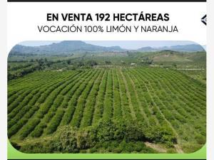 Terreno en venta en Jicaltepec, Nautla, Veracruz de Ignacio de la Llave
