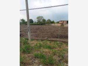 Terreno en venta en La Arbolada, Tapachula, Chiapas