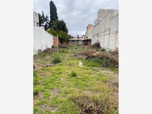 Venta terreno independiente. Col. Bugambilias
