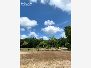 Terreno en venta en Santa Fe Cuajimalpa, Cuajimalpa de Morelos, Ciudad de México