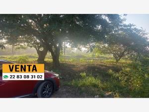 Terreno en venta en Tejeria, Veracruz, Veracruz de Ignacio de la Llave
