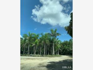 Terreno en venta en Santa Fe Cuajimalpa, Cuajimalpa de Morelos, Ciudad de México