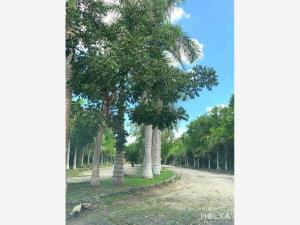 Terreno en venta en Santa Fe Cuajimalpa, Cuajimalpa de Morelos, Ciudad de México