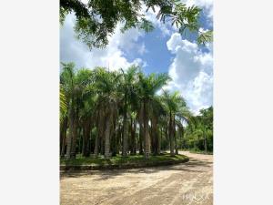 Terreno en venta en Santa Fe Cuajimalpa, Cuajimalpa de Morelos, Ciudad de México
