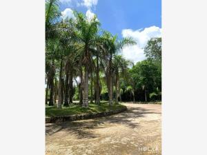 Terreno en venta en Santa Fe Cuajimalpa, Cuajimalpa de Morelos, Ciudad de México