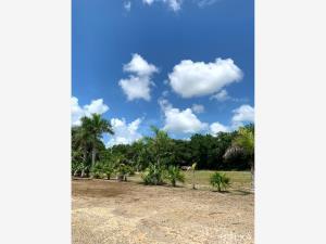 Terreno en venta en Santa Fe Cuajimalpa, Cuajimalpa de Morelos, Ciudad de México