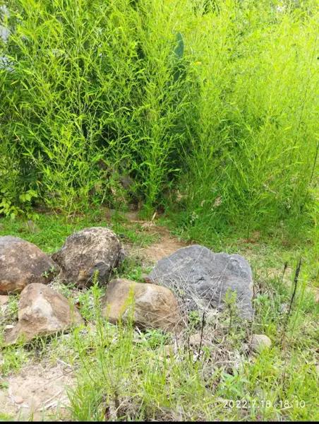 Terreno en venta en El Lencero, Emiliano Zapata, Veracruz de Ignacio de la Llave