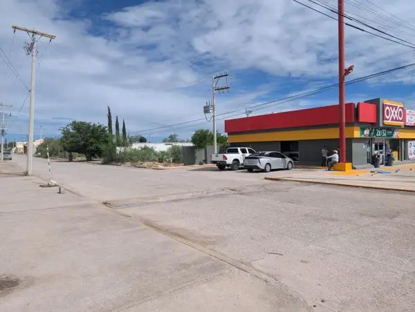 TERRENO EN VENTA EN ALAMEDAS EN CUENCAME DE CENICEROS DURANGO