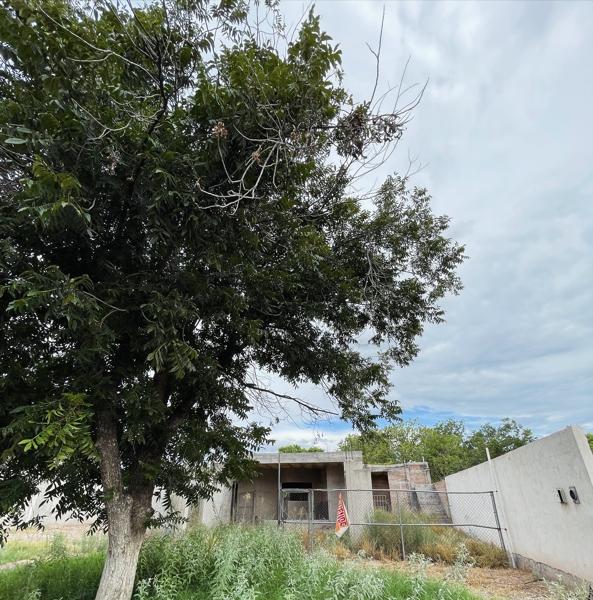 Terreno en venta en Las Trojes, Torreón, Coahuila de Zaragoza Terreno en venta en Las Trojes, Torreón, Coahuila de Zaragoza