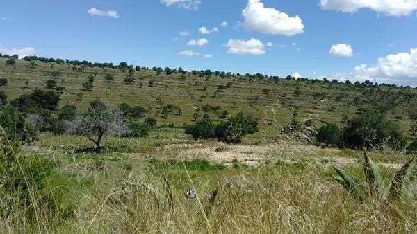 Terreno en venta en San Antonio, Atltzayanca, Tlaxcala