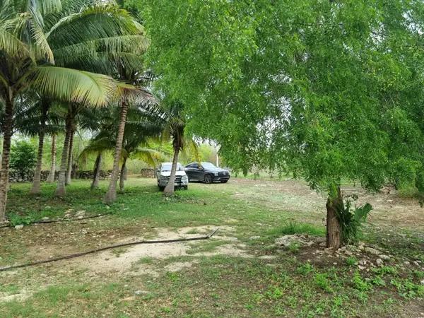 Finca-Rancho en venta en Yobaín, Yobaín, Yucatán