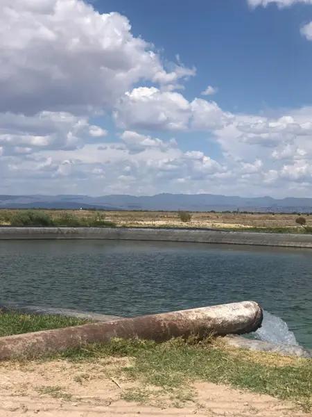 Terreno en venta en Parras de la Fuente Centro, Parras, Coahuila de Zaragoza
