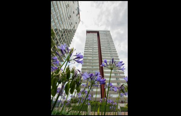 Departamento en venta en San Mateo Tlaltenango, Cuajimalpa de Morelos, Ciudad de México