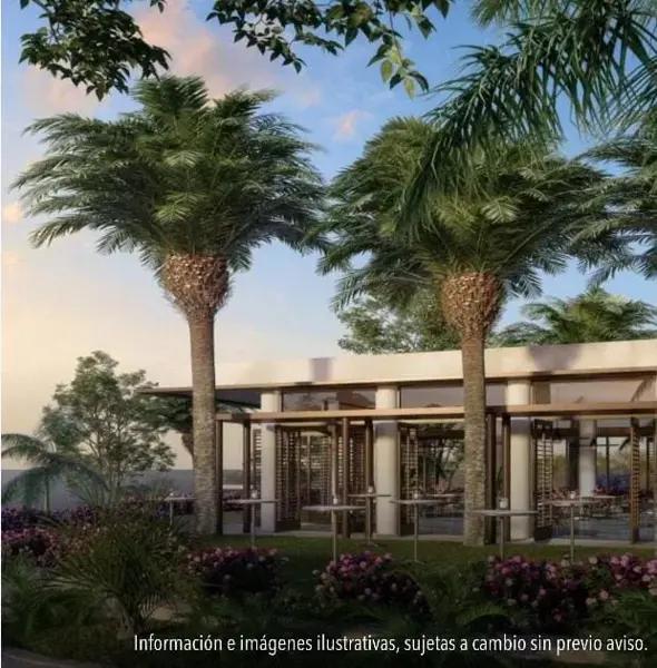 TERRENO EN VENTA EN MARE VERA ALVARADO VERACRUZ, VER. TERRENO EN VENTA EN MARE VERA ALVARADO VERACRUZ, VER.
