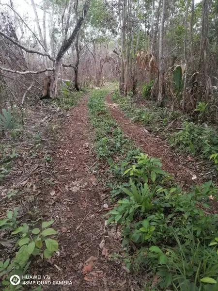 Finca-Rancho en venta en Altos de Sevilla, Bacalar, Quintana Roo