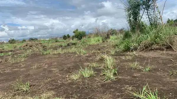Terreno en venta en Herón Proal (Campestre), Medellín de Bravo, Veracruz de Ignacio de la Llave