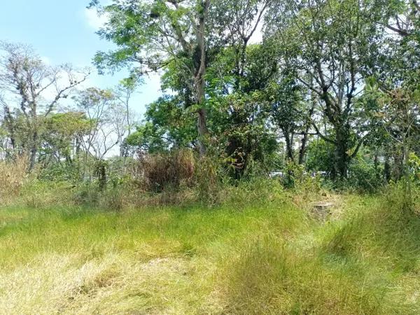 Terreno en venta en Alborada, Emiliano Zapata, Veracruz de Ignacio de la Llave
