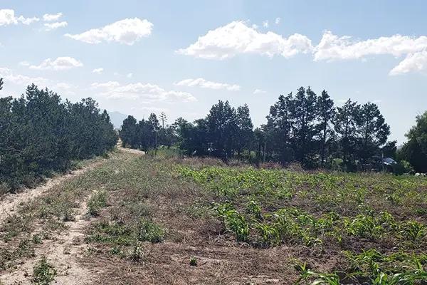 Terreno en venta en Agua Nueva, Saltillo, Coahuila de Zaragoza Terreno en venta en Agua Nueva, Saltillo, Coahuila de Zaragoza