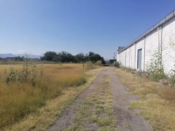 Bodega en venta en Tequesquitengo, Jojutla, Morelos