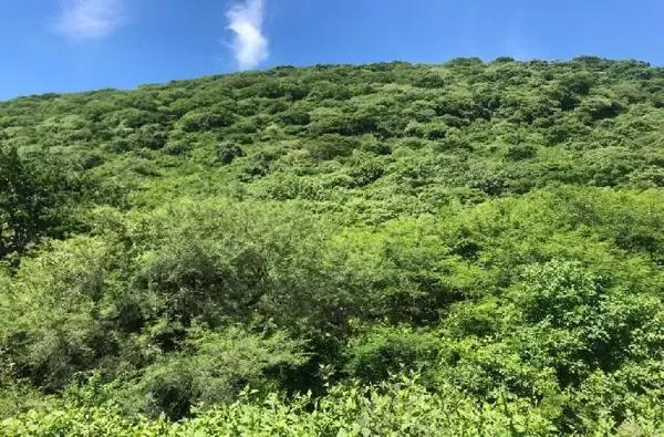 Terreno en venta en Atotonilco el Alto Centro, Atotonilco El Alto, Jalisco