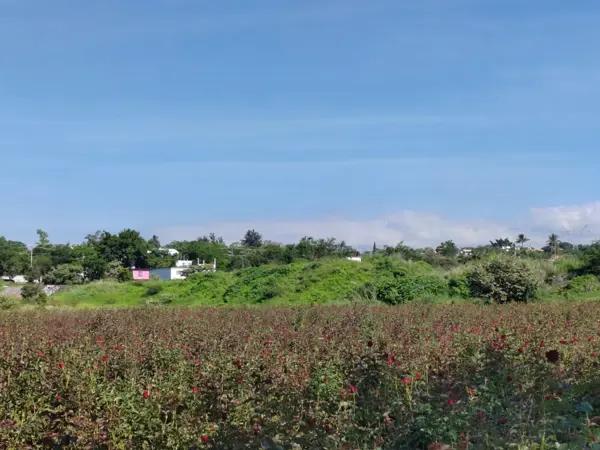 Terreno en venta en Acatlipa, Temixco, Morelos Terreno en venta en Acatlipa, Temixco, Morelos