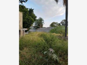 Terreno en venta en Delicias, Cuernavaca, Morelos