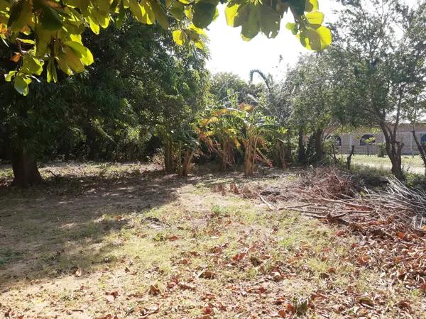 Terreno en venta en Barrio El Carmen, Arriaga, Chiapas