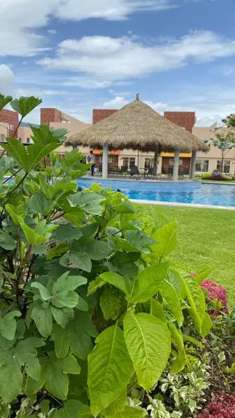 EXCELENTES CASAS EN VENTA NUEVA EXCELENTES CASAS EN VENTA NUEVA