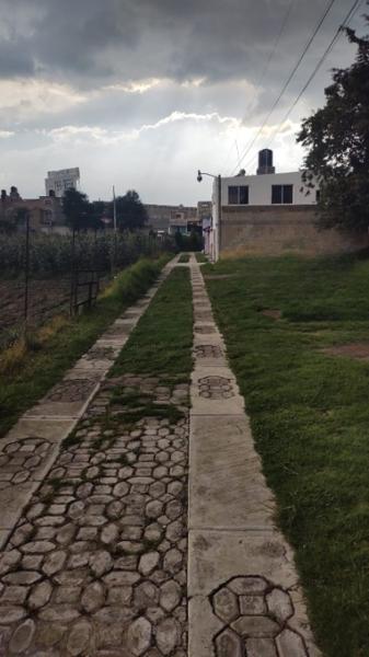Terreno en venta en El Calvario Tepanuaya, Mexicaltzingo, México