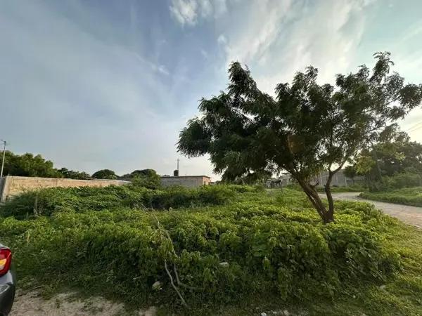Terreno en venta en Venustiano Carranza, Arriaga, Chiapas