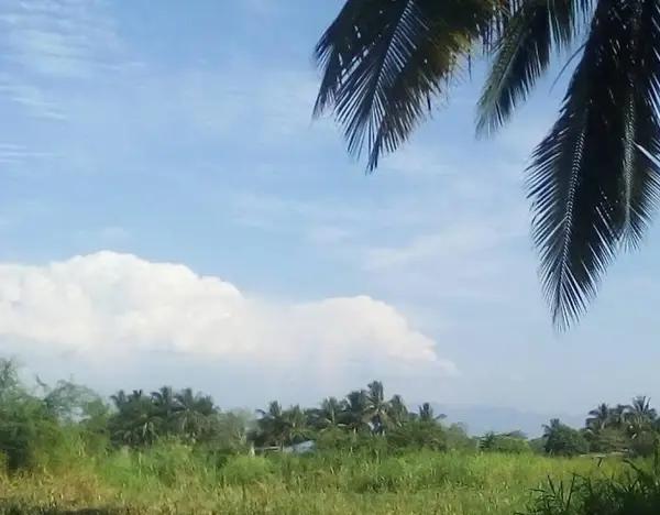 Terreno en venta en Cerro de Ortega, Tecomán, Colima