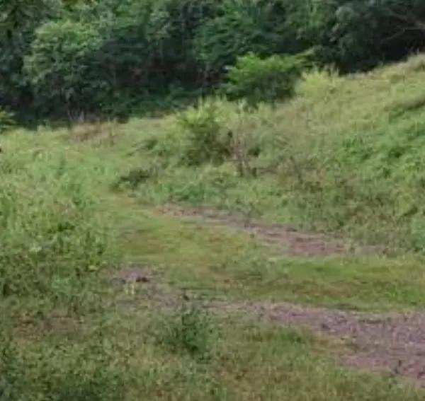 Finca-Rancho en venta en Las Golondrinas, Colima, Colima