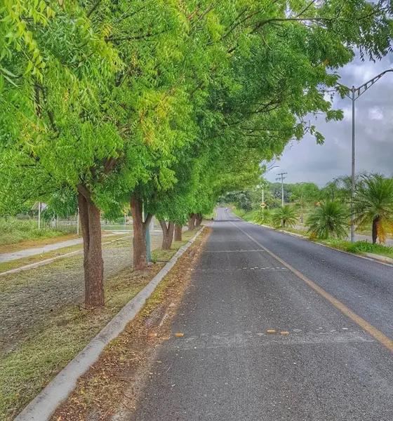 Terreno en venta en Santa Fe, Villa de Álvarez, Colima