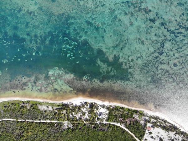Terreno en venta en Mahahual, Othón P. Blanco, Quintana Roo