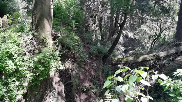Terreno en venta en Santo Tomas Ajusco, Tlalpan, Ciudad de México Terreno en venta en Santo Tomas Ajusco, Tlalpan, Ciudad de México