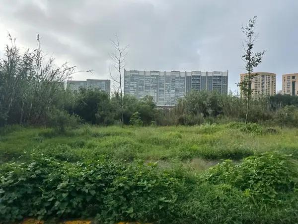 Terreno en venta en Santa Fe Cuajimalpa, Cuajimalpa de Morelos, Ciudad de México