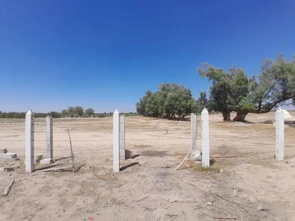 Terreno en venta en Ejido la Perla, Torreón, Coahuila de Zaragoza Terreno en venta en Ejido la Perla, Torreón, Coahuila de Zaragoza