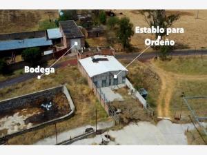 Terreno en venta en Matatlan, Zapotlanejo, Jalisco