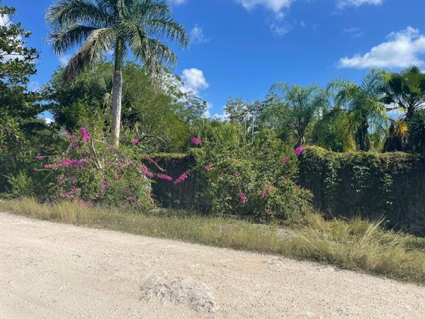 Finca-Rancho en venta en Leona Vicario, Puerto Morelos, Quintana Roo