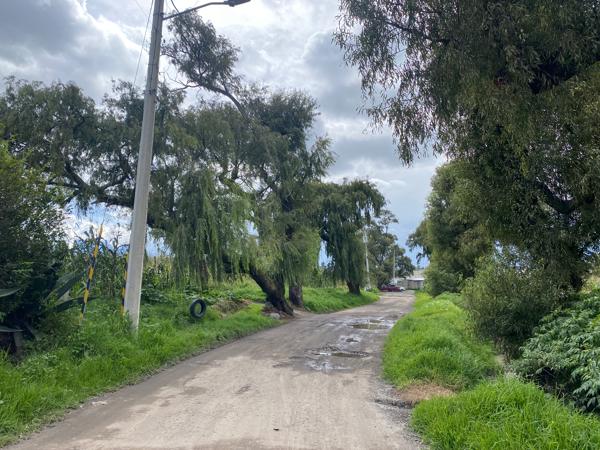 Terreno en venta en San Miguel Totocuitlapilco, Metepec, México