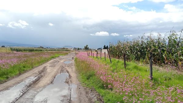 Terreno en venta en San Miguel Totocuitlapilco, Metepec, México