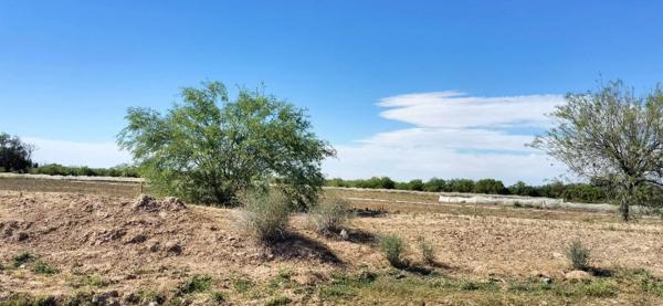 Terreno en venta en El Sacrificio, Matamoros, Coahuila de Zaragoza