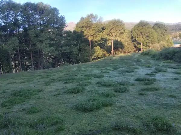 Finca-Rancho en venta en Tembladeras, Xico, Veracruz de Ignacio de la Llave Finca-Rancho en venta en Tembladeras, Xico, Veracruz de Ignacio de la Llave