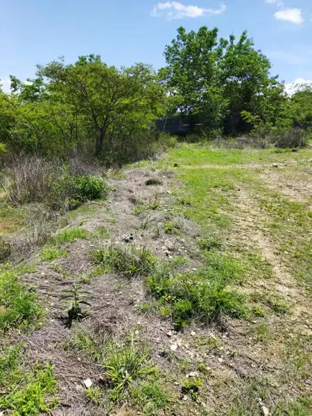 Terreno en venta en San Lorenzo Cacaotepec, San Lorenzo Cacaotepec, Oaxaca